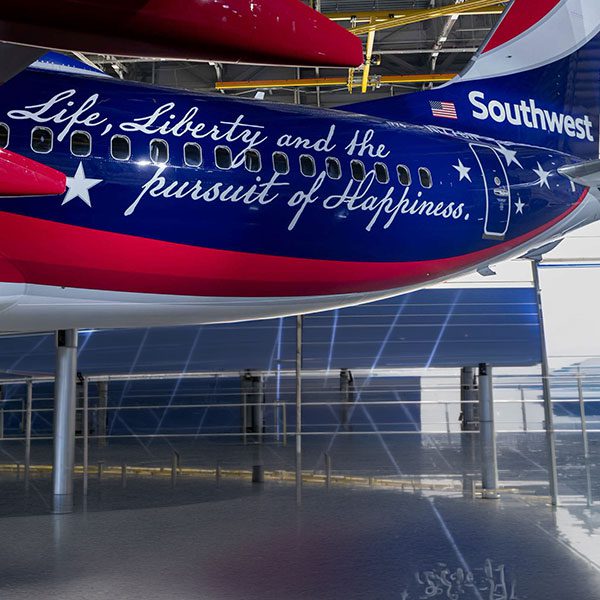 life liberty plane